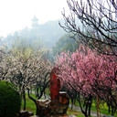 梅园横山风景区